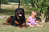 ENFANT ET CHIEN 612